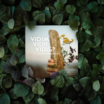 VIDIM VIDI VIDIS - Knjiga_03